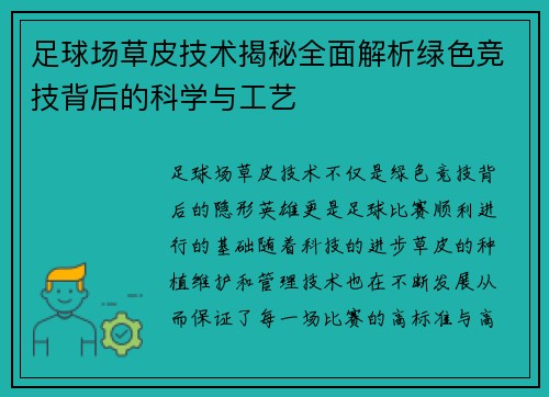 足球场草皮技术揭秘全面解析绿色竞技背后的科学与工艺